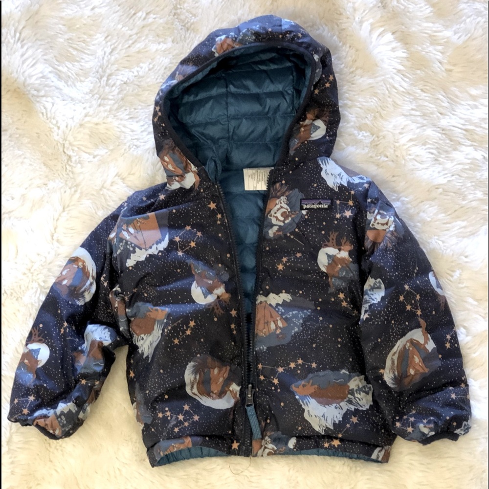 Patagonia Better Sweater Down Jacket with Hood 4T